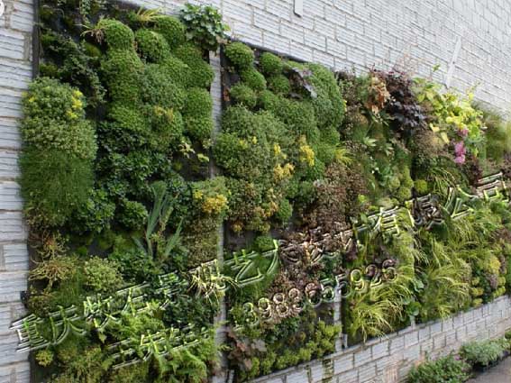 垂直綠化設(shè)計(jì)
